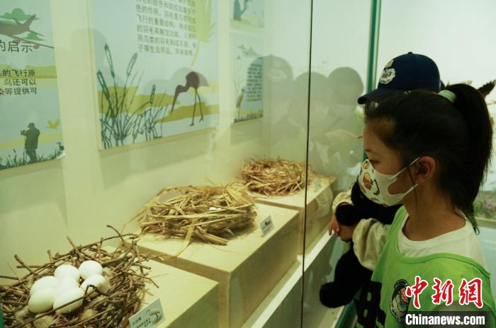 圖為小朋友在青海西寧湟水國(guó)家濕地公園科普館內(nèi)參觀學(xué)習(xí)。　馬銘言 攝