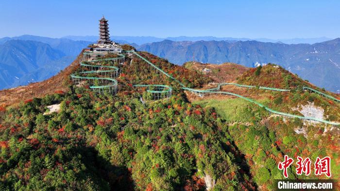 巴山大峽谷彩林迎來(lái)最佳觀賞期。　姚盛 攝