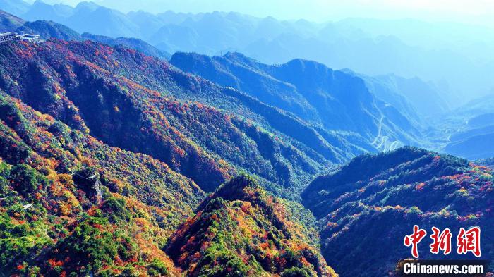 巴山大峽谷彩林迎來(lái)最佳觀賞期?！埰?攝
