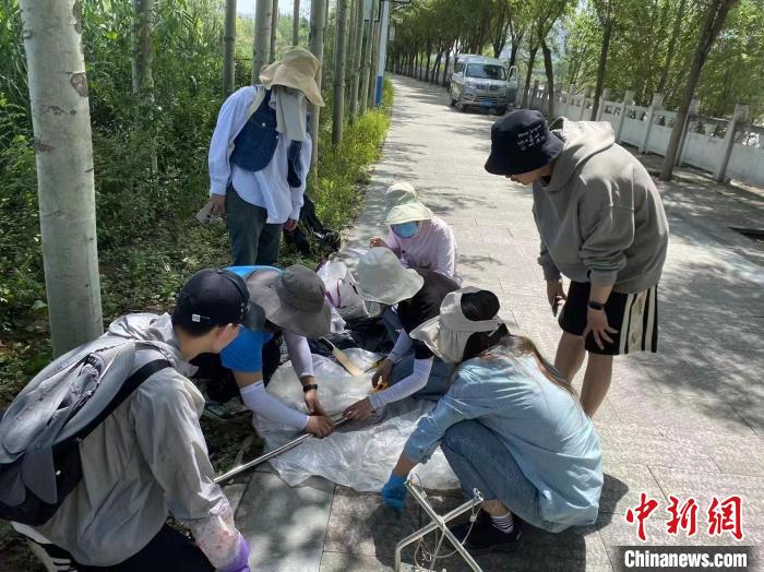 圖為科研人員正在進行監(jiān)測?！∥鲗庝宜畤覞竦毓珗@供圖