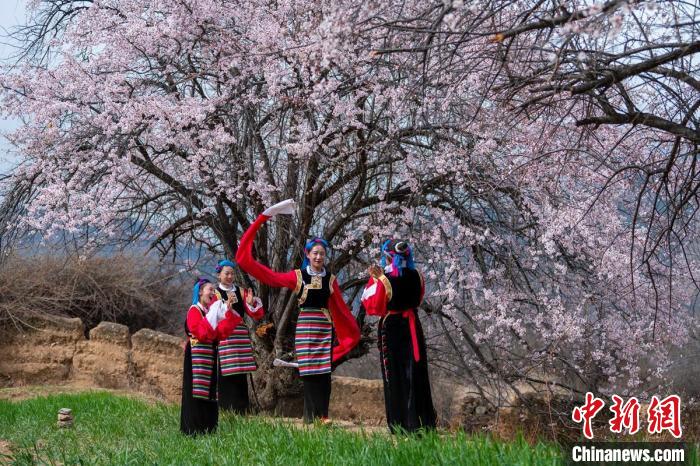 桃花樹(shù)下開(kāi)心玩耍的女孩們?！⒅铱?攝