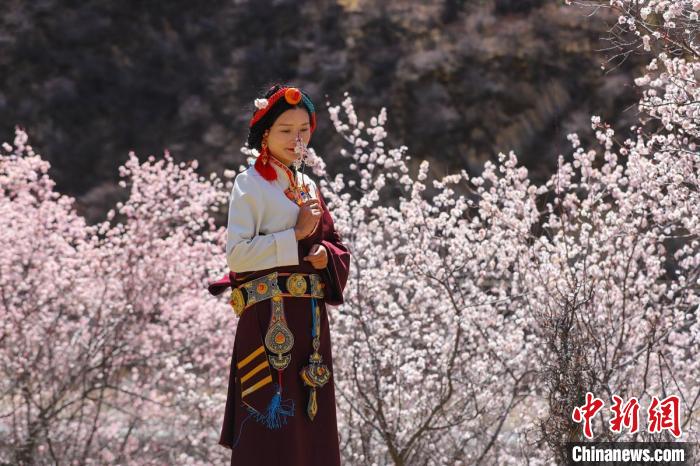 白玉縣河坡鎮(zhèn)桃花林間身穿民族服飾的藏族女孩?！“子袢诿?攝
