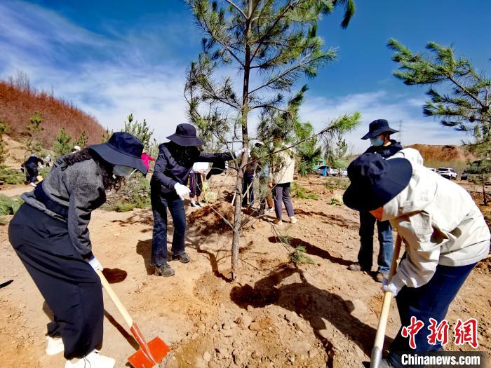 圖為西寧市城東區(qū)干部職工參加義務植樹?！?zhí)砀?攝