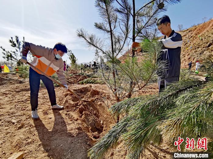 圖為西寧市城東區(qū)義務植樹活動現(xiàn)場?！?zhí)砀?攝