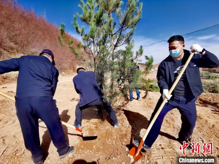 圖為西寧市城東區(qū)義務植樹活動現(xiàn)場。　張?zhí)砀?攝