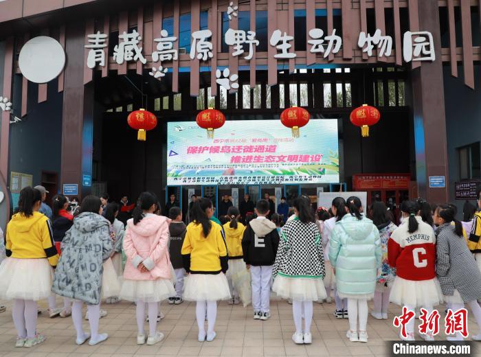 圖為青海省西寧市開展第42屆“愛鳥周”科普宣傳活動?！●R銘言 攝