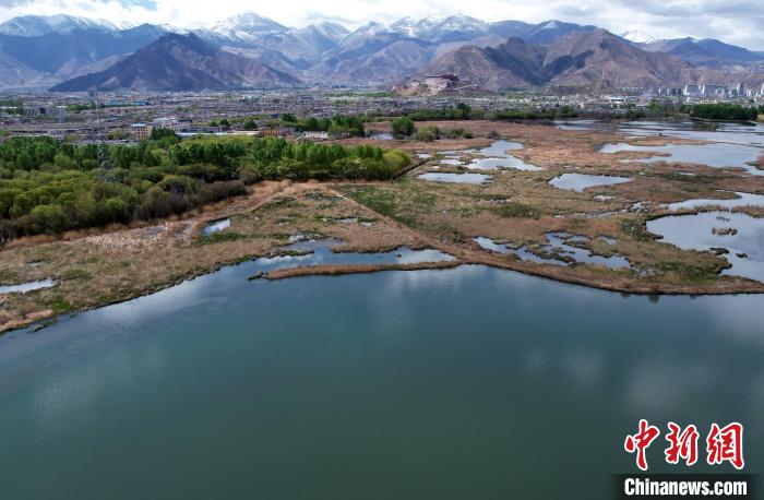 圖為拉薩拉魯濕地。(無人機(jī)照片) 李林 攝