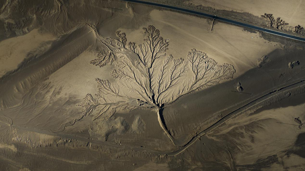 無人機視角下的西藏阿里地區(qū)改則縣“大地之樹”景觀。尼瑪多吉攝