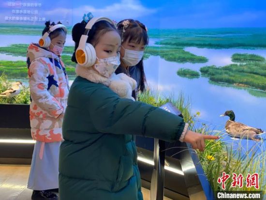 圖為學(xué)生在西寧市第一中學(xué)濕地科普宣教館內(nèi)參觀。　李江寧 攝