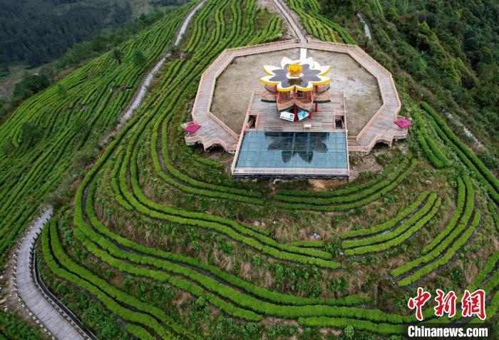 圖為西藏林芝市墨脫縣背崩鄉(xiāng)格林村山頂?shù)木坝^茶園。(無(wú)人機(jī)照片) 李林 攝
