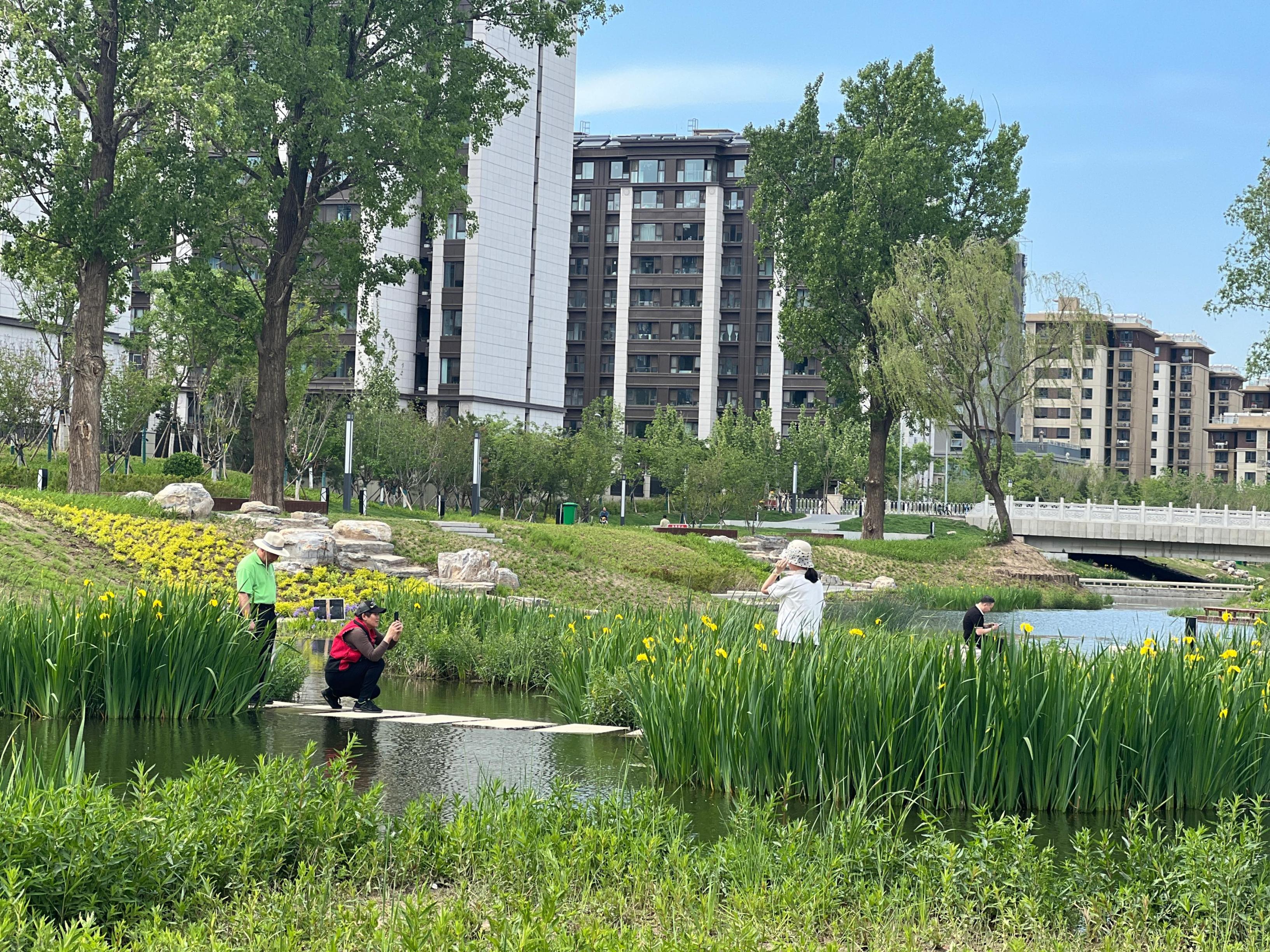 五一渠生態(tài)濱河公園內(nèi)，市民正在拍照留念。人民網(wǎng) 歐陽易佳攝