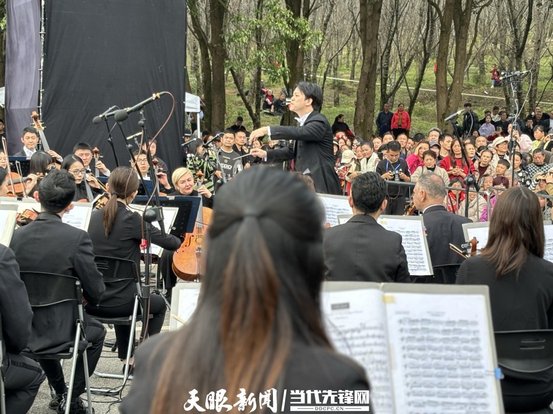 貴陽路邊音樂會(huì)·貴安櫻花園專場交響樂現(xiàn)場。丁亞 文丹 攝