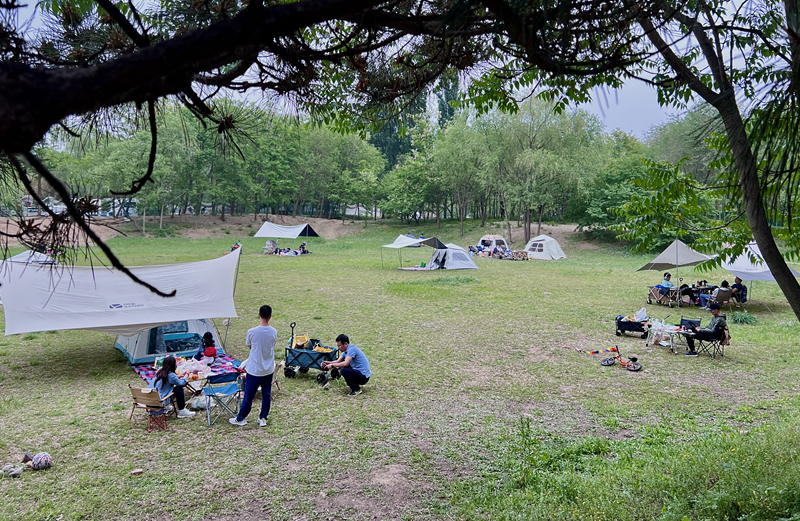 “自駕+露營(yíng)”等多元模式受熱捧。人民網(wǎng)記者 王連香攝