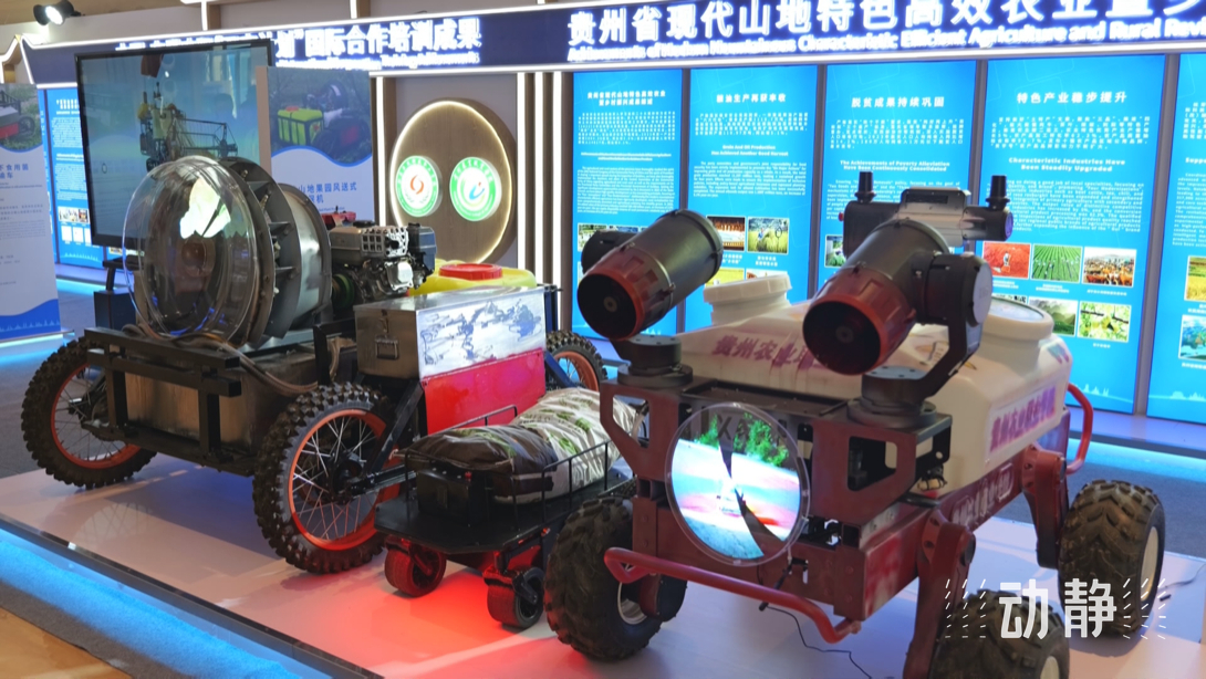 展示成果分享經(jīng)驗(yàn)，中國(guó)—東盟教育交流周深化合作共創(chuàng)未來！