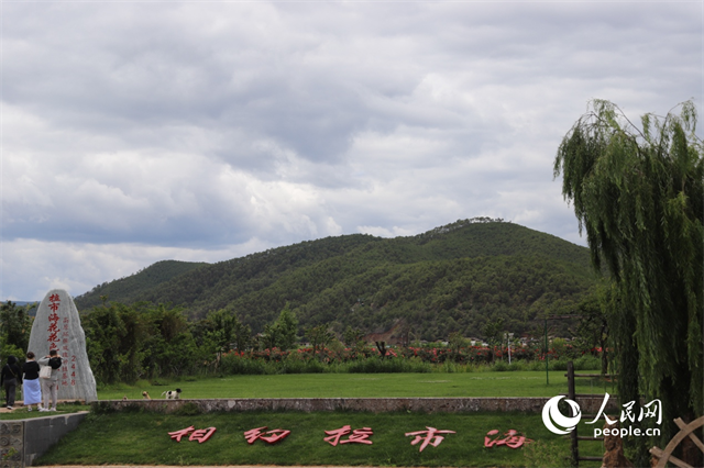 麗江市拉市海景區(qū)。 人民網(wǎng)記者 程浩攝