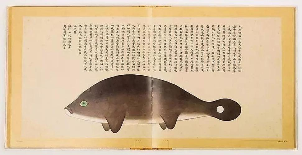 文化中國行 長江之歌丨微笑的江豚，從四千年前“游”來