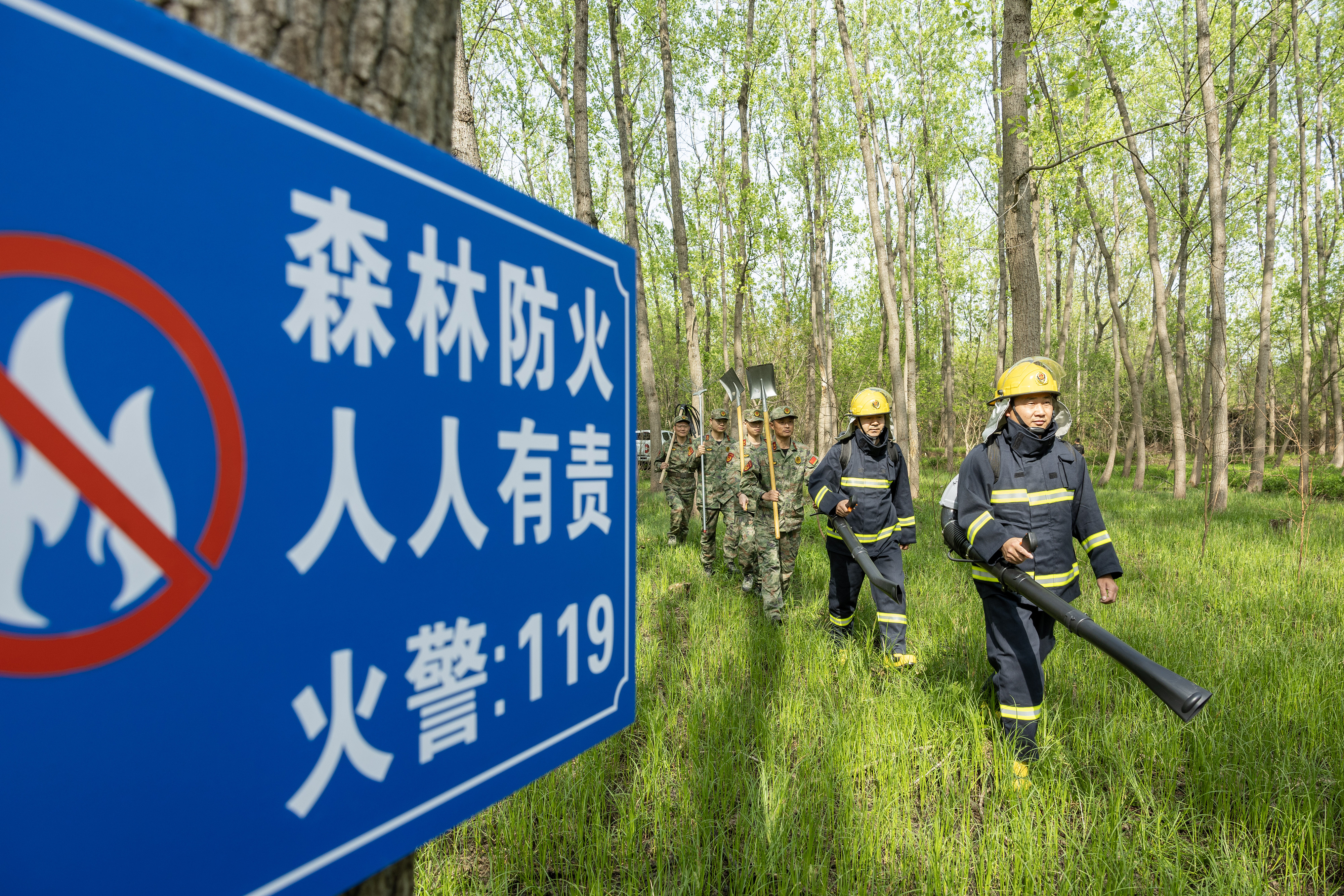 2024年4月9日，合肥市大房郢水庫水源保護地廬陽經(jīng)濟開發(fā)區(qū)段，基干民兵正在林間巡查火災隱患。