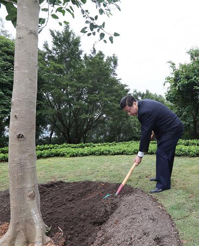 2012年12月7日至11日，習(xí)近平在廣東省考察工作。這是8日上午，習(xí)近平在深圳蓮花山公園種下一棵高山榕樹。新華社記者 蘭紅光 攝