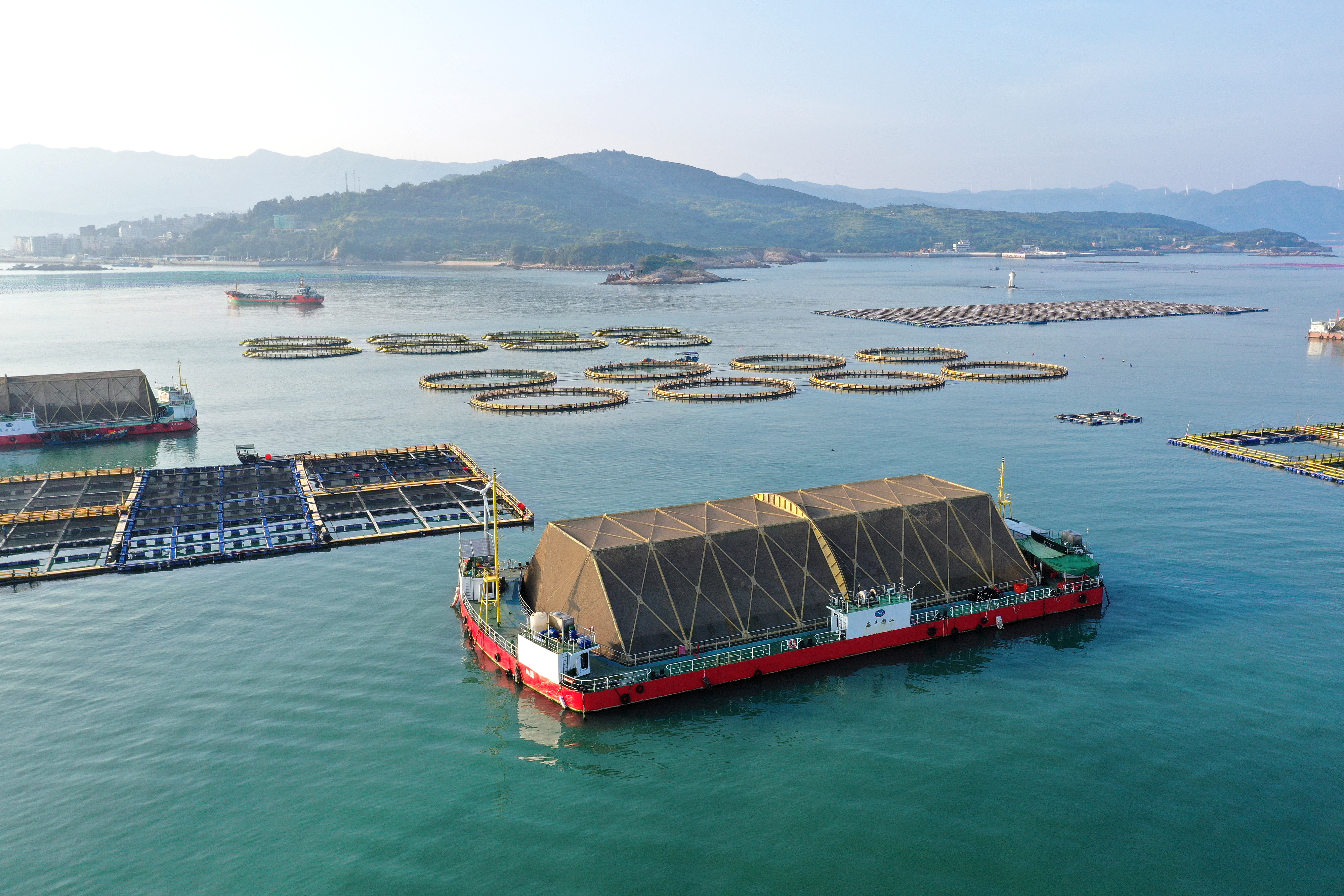 2024年9月10日拍攝的福建省福州市連江縣定海灣海域的現(xiàn)代化“海上糧倉”。