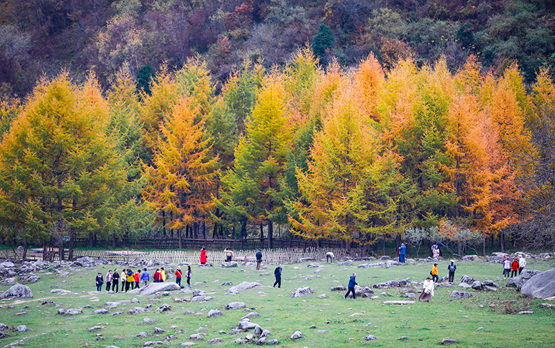 2023年10月27日，深秋時(shí)節(jié)的陜西秦嶺太子嶺漫山紅黃、色彩交織，進(jìn)入最佳觀賞期。