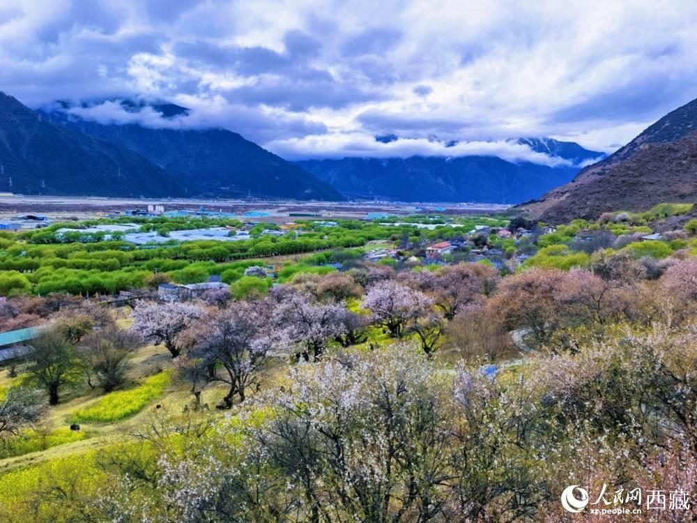 桃花從中的“童話小鎮(zhèn)”。人民網(wǎng) 李海霞攝