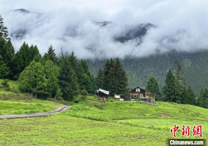6月10日，魯朗小鎮(zhèn)高山牧場景區(qū)風(fēng)光?！∪轿木?攝