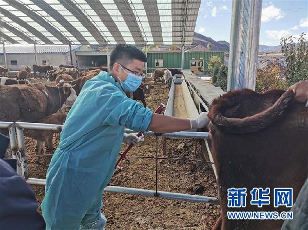 （決戰(zhàn)決勝脫貧攻堅·圖文互動）（2）脫貧“不暫?！?服務“不打烊”——天津通過“云端”幫扶為甘肅受援地區(qū)戰(zhàn)貧繼續(xù)助力