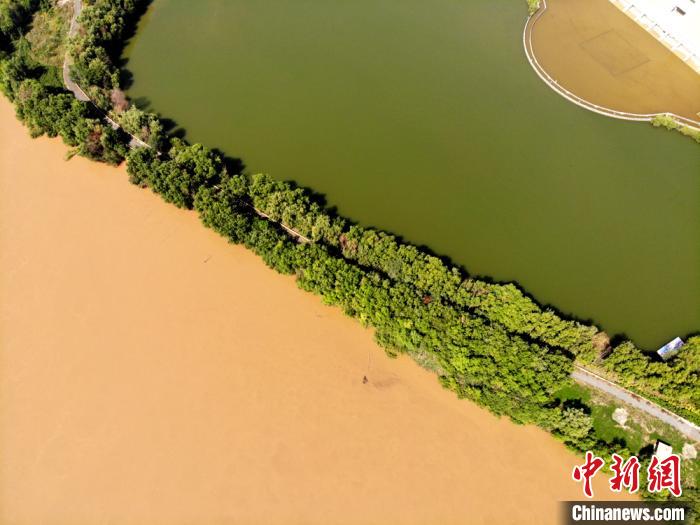 圖為2020年9月3日航拍黃河蘭州段濕地公園現(xiàn)黃河“鴛鴦鍋”。(資料圖) 高瑩 攝