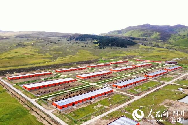 建設(shè)中的理塘縣牦牛產(chǎn)業(yè)園。葉強(qiáng)平攝