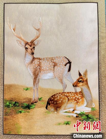 圖為藏繡作品?！∑钤鲚?攝