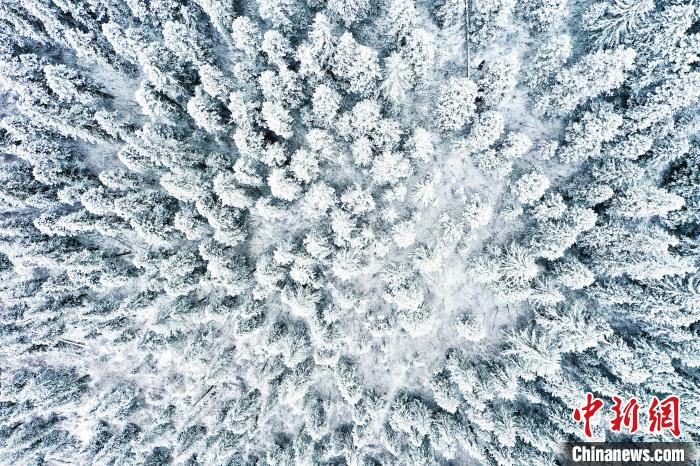 壤塘的雪后美景?！∪捞量h融媒體中心供圖