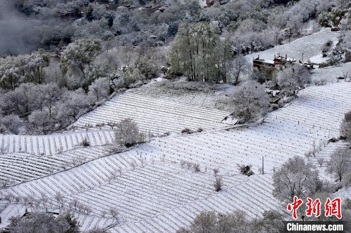 雪后的高山田間如畫?！±钣腊?攝