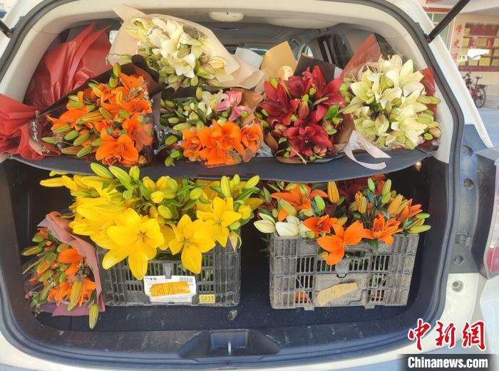 剛剛采摘下來(lái)的百合花?！∪捞量h委宣傳部供圖