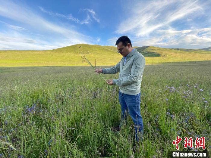 青海達(dá)日“援青縣長(zhǎng)”：雪域高原生態(tài)、民生“并蒂花開(kāi)”