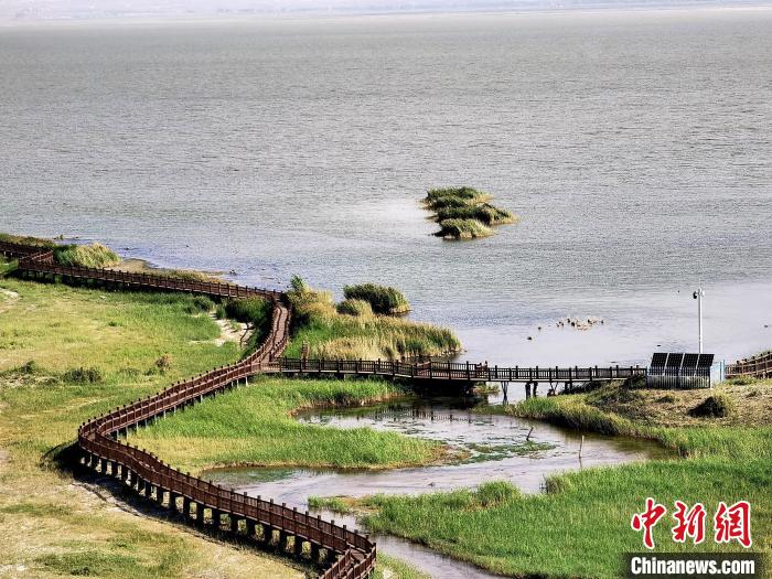 圖為都蘭湖國家濕地公園觀光棧道?！∑钤鲚?攝
