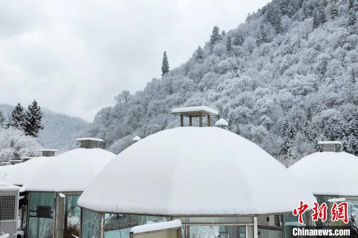 大熊貓國家公園王朗片區(qū)春雪如畫，宛若仙境?！×_春平 攝