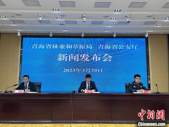 青海去年占用林地、草地準(zhǔn)予許可件同比實(shí)現(xiàn)“雙減”