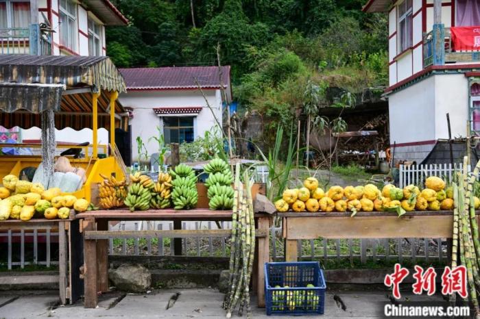 墨脫公路沿線，百姓擺攤銷售當?shù)匚锂a，包含香蕉、甘蔗、檸檬等。(<a target='_blank' href='/'><p  align=