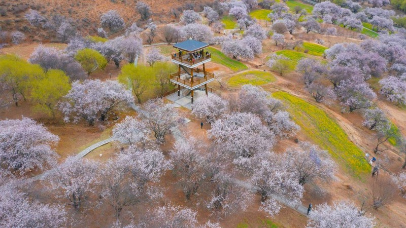 林芝嘎拉村。 張靜攝