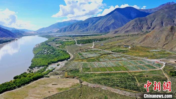 圖為桑日縣葡萄種植基地。　山南桑日縣委宣傳部提供