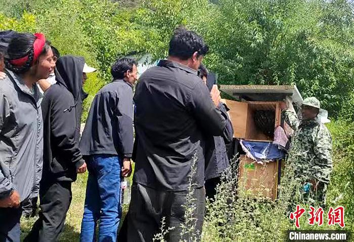 拉久西村村民學(xué)習(xí)養(yǎng)蜂工作流程和防范事項?！〔际忻⒖悼h委宣傳部供圖
