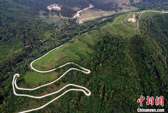 圖為西藏林芝市墨脫縣背崩鄉(xiāng)格林村山頂?shù)木坝^茶園。(無(wú)人機(jī)照片) 李林 攝