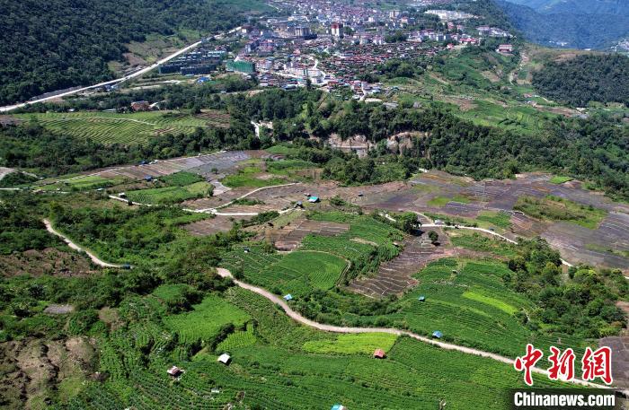 圖為西藏林芝市墨脫縣城附近的茶田。(無(wú)人機(jī)照片) 李林 攝