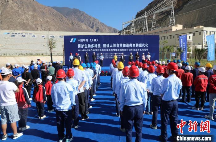 圖為蘇洼龍水電站魚類放流現(xiàn)場?！√K洼龍水電站供圖