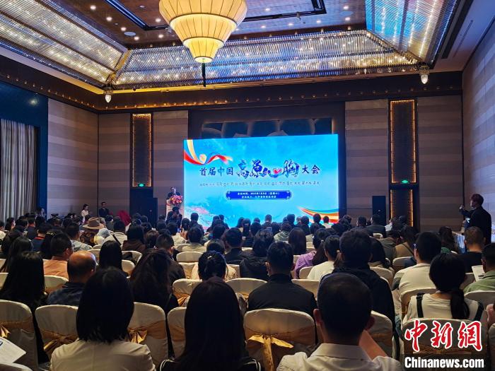 圖為首屆中國高原心胸大會現(xiàn)場?！☆D旦旺姆 攝