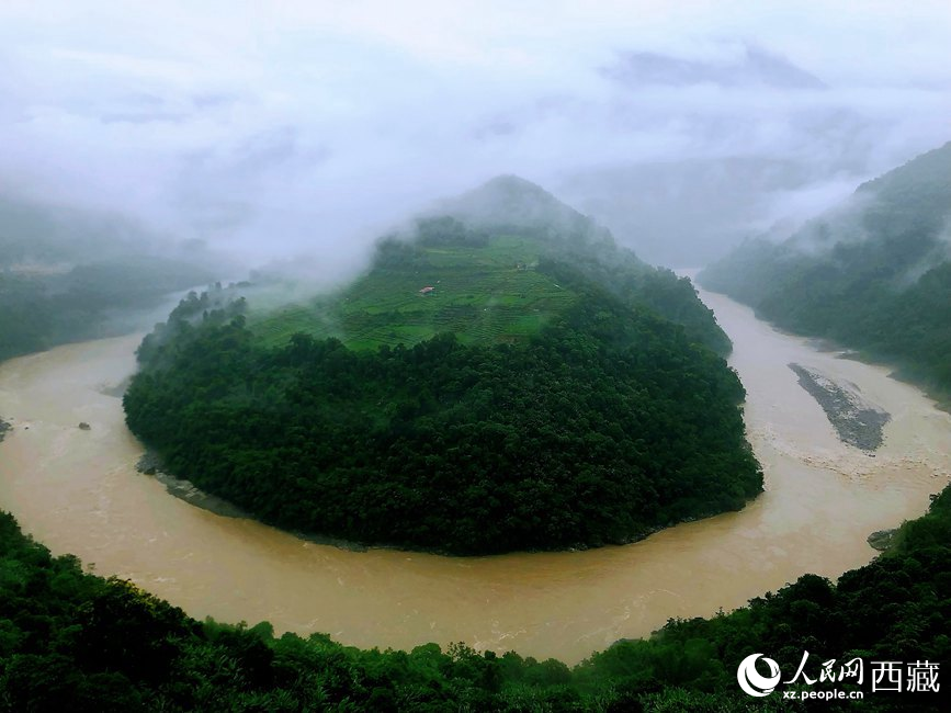 雅魯藏布江大峽谷蛇形拐彎處，山坡上種滿茶樹。