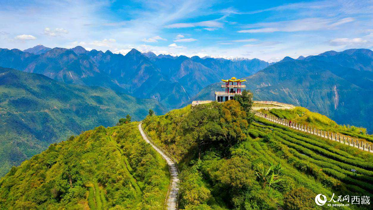 無人機(jī)航拍墨脫縣格林村蓮花觀景臺。人民網(wǎng)記者 次仁羅布攝
