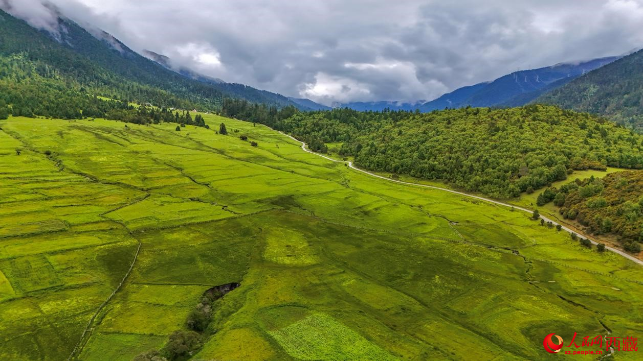 圖為航拍高山牧場鳥瞰圖。人民網(wǎng)記者 次仁羅布攝