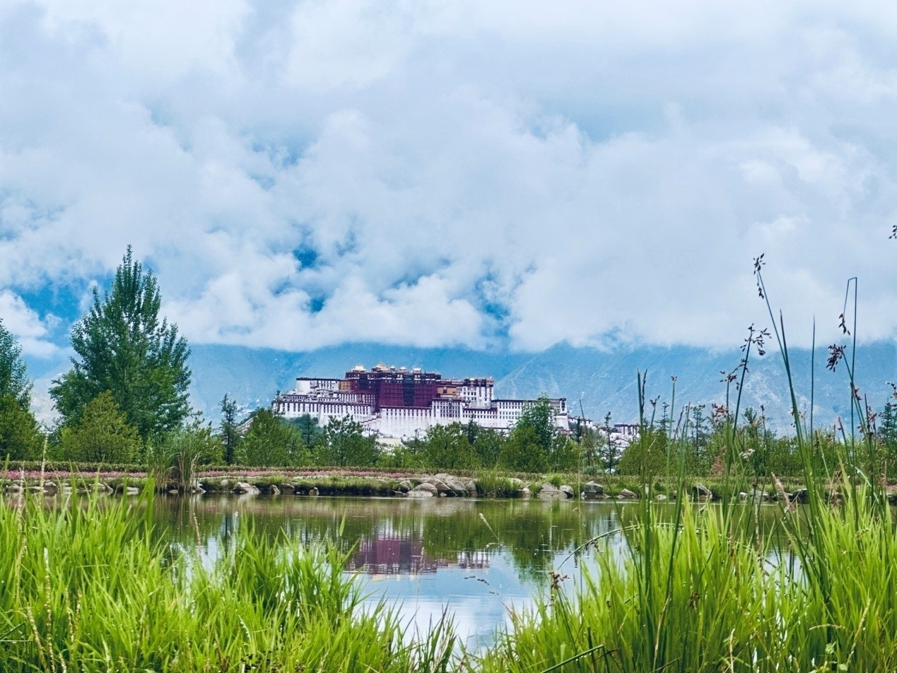 在南山公園遠眺布達拉宮。人民網(wǎng)記者 益西康珠攝