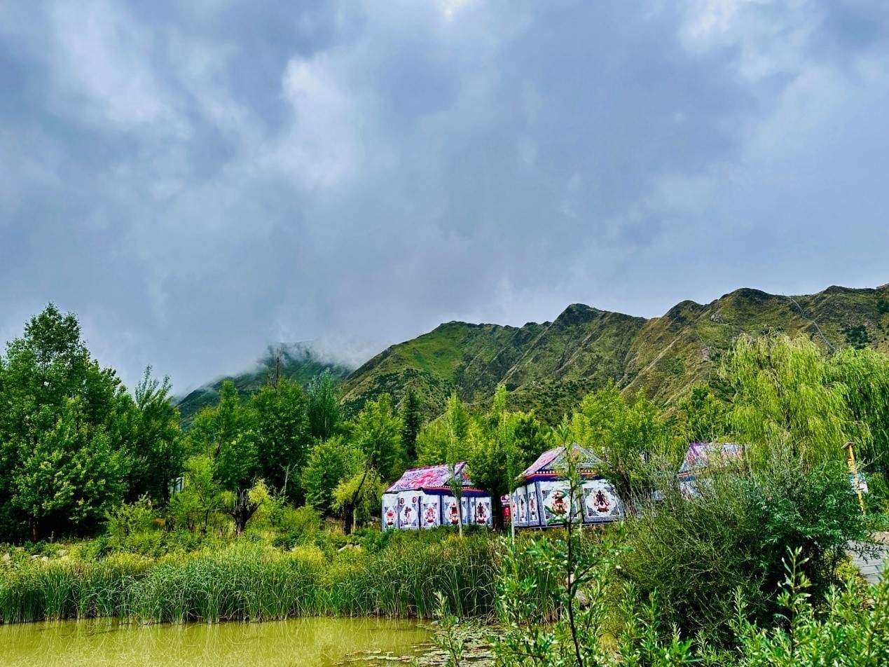 郁郁蔥蔥的南山公園。人民網(wǎng)記者 益西康珠攝